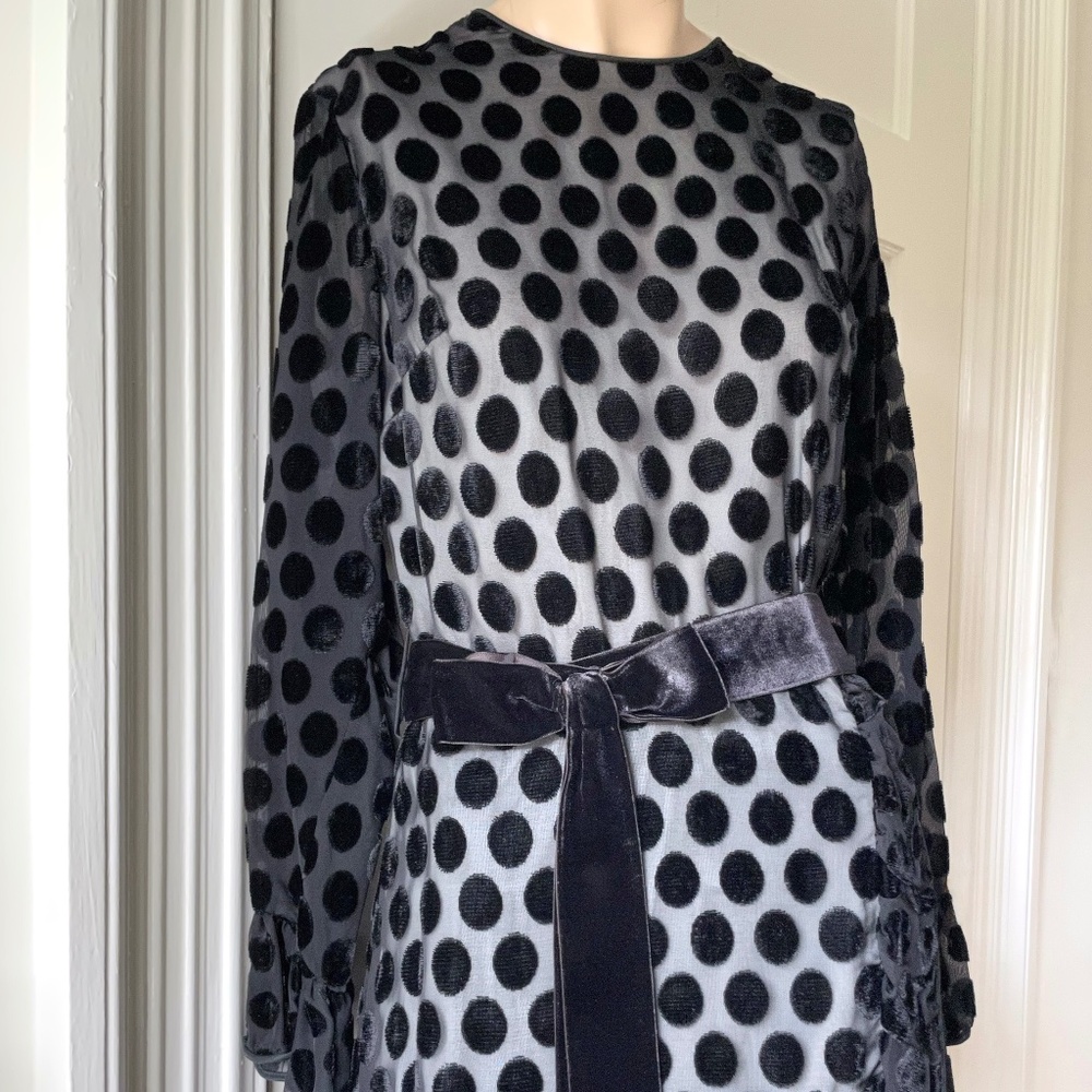 Vintage 70s Burnout Velvet Gown: Polka Dot Ruffle Maxi Dress